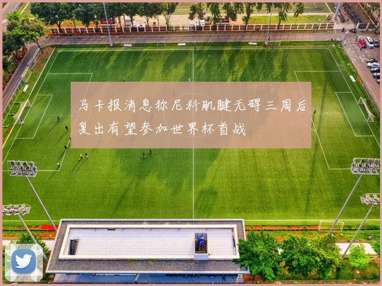 马卡报消息称尼科肌腱无碍三周后复出有望参加世界杯首战