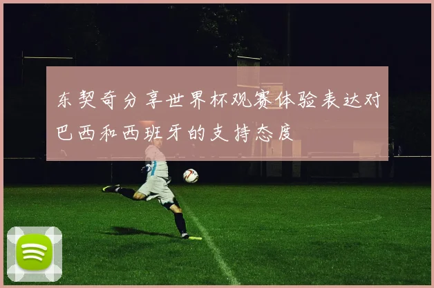 东契奇分享世界杯观赛体验表达对巴西和西班牙的支持态度